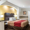 Отель Econo Lodge Inn & Suites North, фото 3
