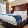 Отель Comfort Suites Pell City, фото 28