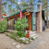 Отель Cozy Bear Cabin #2295, фото 1