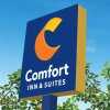 Отель Comfort Inn & Suites Harrisonburg в Харрисонбурге