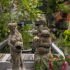 Отель Gunung Merta Bungalows, фото 15