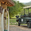 Отель Garden Route Safari Camp, фото 36