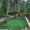 Отель Rimba Villa Bali, фото 10