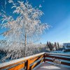 Отель Willa Pachówka - Noclegi w Bukowinie Tatrzańskiej, фото 1