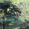 Отель Mango Tree Cottage, фото 13