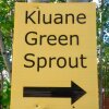 Отель Kluane Green Sprout, фото 7