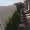 Отель Eagle Suites Guest House, фото 35