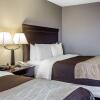 Отель Comfort Inn & Suites near Tinley Park Amphitheater, фото 10