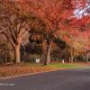 Отель Tarawera River Lodge/Motel, фото 25