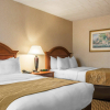 Отель Comfort Inn & Suites, фото 6