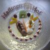Отель Landhotel Haflingerhof, фото 23