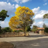 Отель Fazenda Alvorada, фото 16