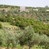 Отель Ajloun Hotel, фото 9