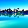 Отель Buyuk Anadolu Didim Resort Hotel - All Inclusive, фото 45