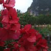 Отель The Yangshuo Moon Resort, фото 6