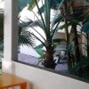 Гостиница Sofiya Guest House, фото 7
