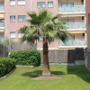 Отель Bonito apartamento a 250m del mar, фото 1