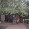 Отель Villa degli Ulivi, фото 20