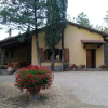 Отель Cottage Pineta, фото 3
