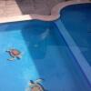 Отель Bungalows Islas Careyes, фото 13