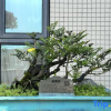 Отель Atour Hotel Jinwan  Gaolan Port Zhuhai, фото 9