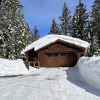 Отель Saint Bernard - INCREDIBLE MOUNTAIN GETAWAY HOT TUB GAME ROOM GAS BBQ L2 EV CONNECTION TAHOE, фото 1