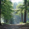 Отель Luxe Safaritent 6 persoons op Camping Rijsterbos, фото 7