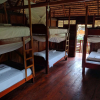 Отель Green forest Ecolodge, фото 45