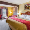 Отель Quality Suites Altavista - Lynchburg South, фото 23