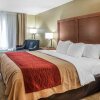 Отель Comfort Inn and Suites Pittsburg, фото 41