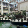 Отель Ganggadisi Hotel, фото 5