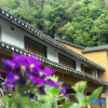 Отель Xinchang Shangshitang Tianmu Mountain Residence, фото 1