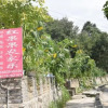 Отель Hongguoguo Farm Stay, фото 2