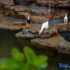 Отель Floral Hotel· Taishan Oak Wei Hostel (Hongmen Mountain Entrance ）, фото 6