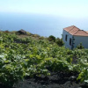 Отель Casita las Viñas II, фото 9
