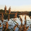 Отель Plg At Passage House Club Hotel, фото 15
