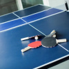 Отель Daisy - Modern Home w Spacious Backyard, Pool & Table Tennis, фото 20