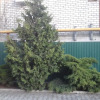 Гостиница Guesthouse Malinkin, фото 11