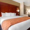 Отель Comfort Suites West Jacksonville, фото 20