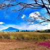 Отель Campzone 360, фото 1