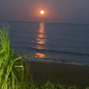 Отель Seafront Beach House, фото 12