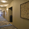 Отель Holiday Inn Express & Suites St. Louis West-O'Fallon, фото 2