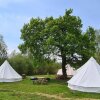 Отель 4 Meter Bell Tent - Up to 4 Persons Glamping 5, фото 5