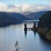 Отель Tranquil 3-bed Cottage Near Lake Vyrnwy, фото 22