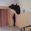 Отель Arusha Tourist Inn, фото 7
