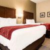 Отель Comfort Inn & Suites Streetsboro - Kent, фото 26