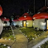 Отель Mushrooms Inn, фото 33