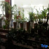 Отель Jinggangshan Homestay, фото 6