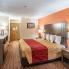 Отель Econo Lodge Inn & Suites, фото 12