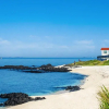 Отель Jeju udo Haneuli Pension, фото 16